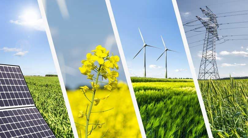Enerji Geçişi: Ekosistemler Üzerindeki Olumsuz Etkiler Nelerdir?